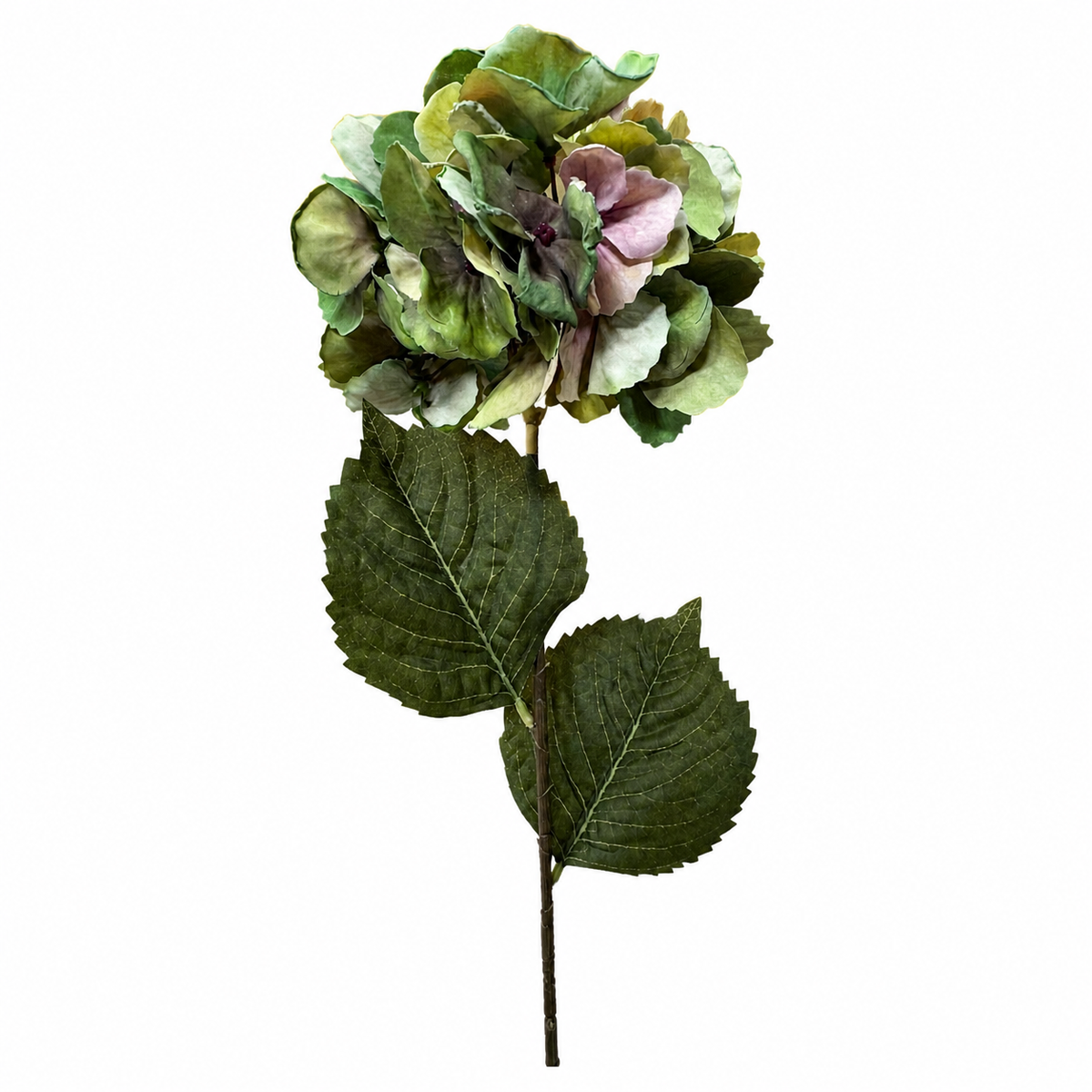 ESTATE GARDEN HYDRANGEA GREEN 30"