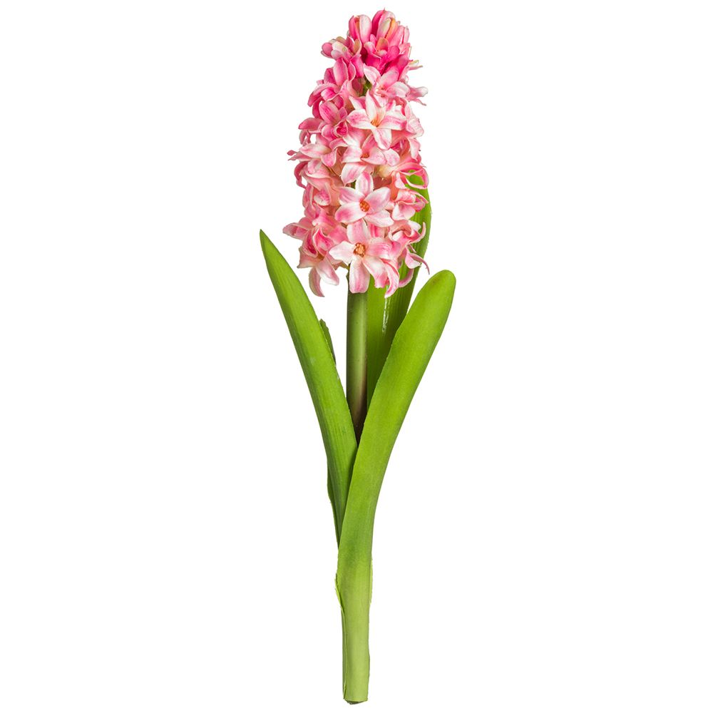 12.5" HYACINTH SPRAY PK