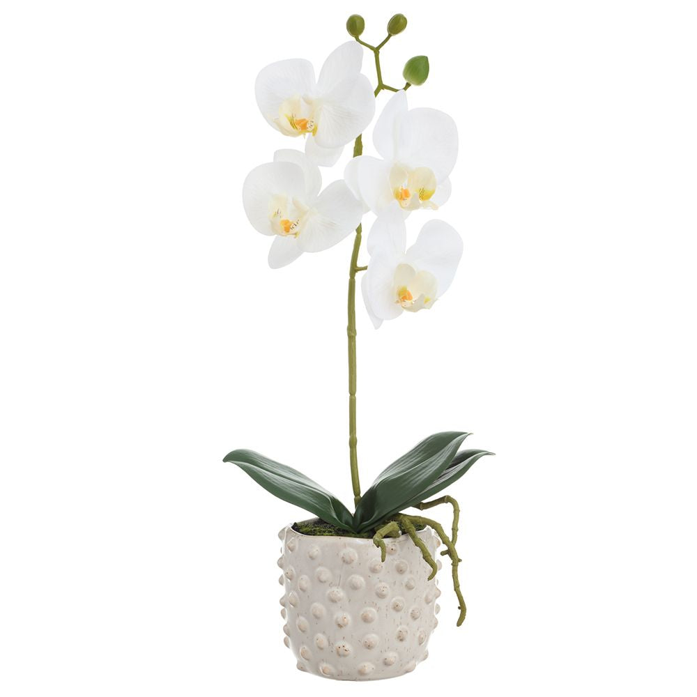 15.5"PHALAENOPSI PLANT CERAMIC VASE