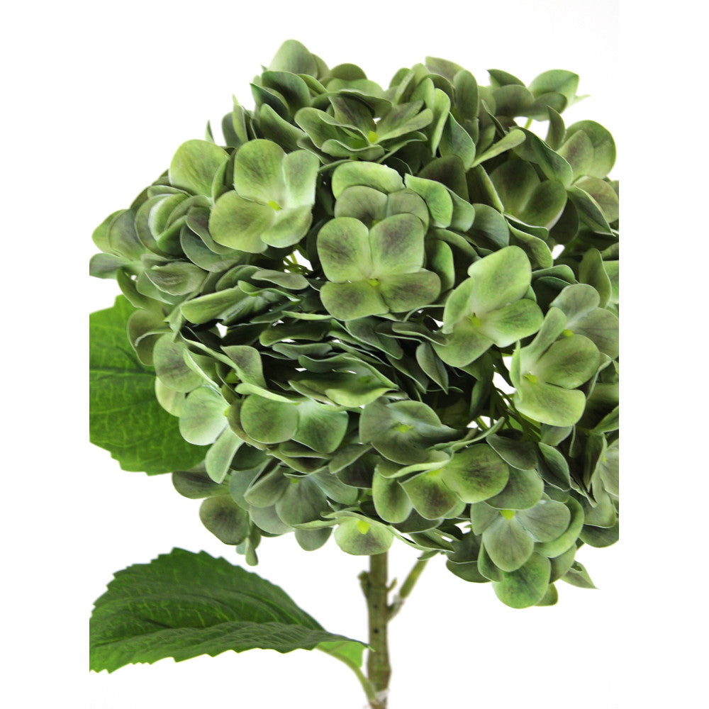 27.6" HYDRANGEA STEM-GREEN