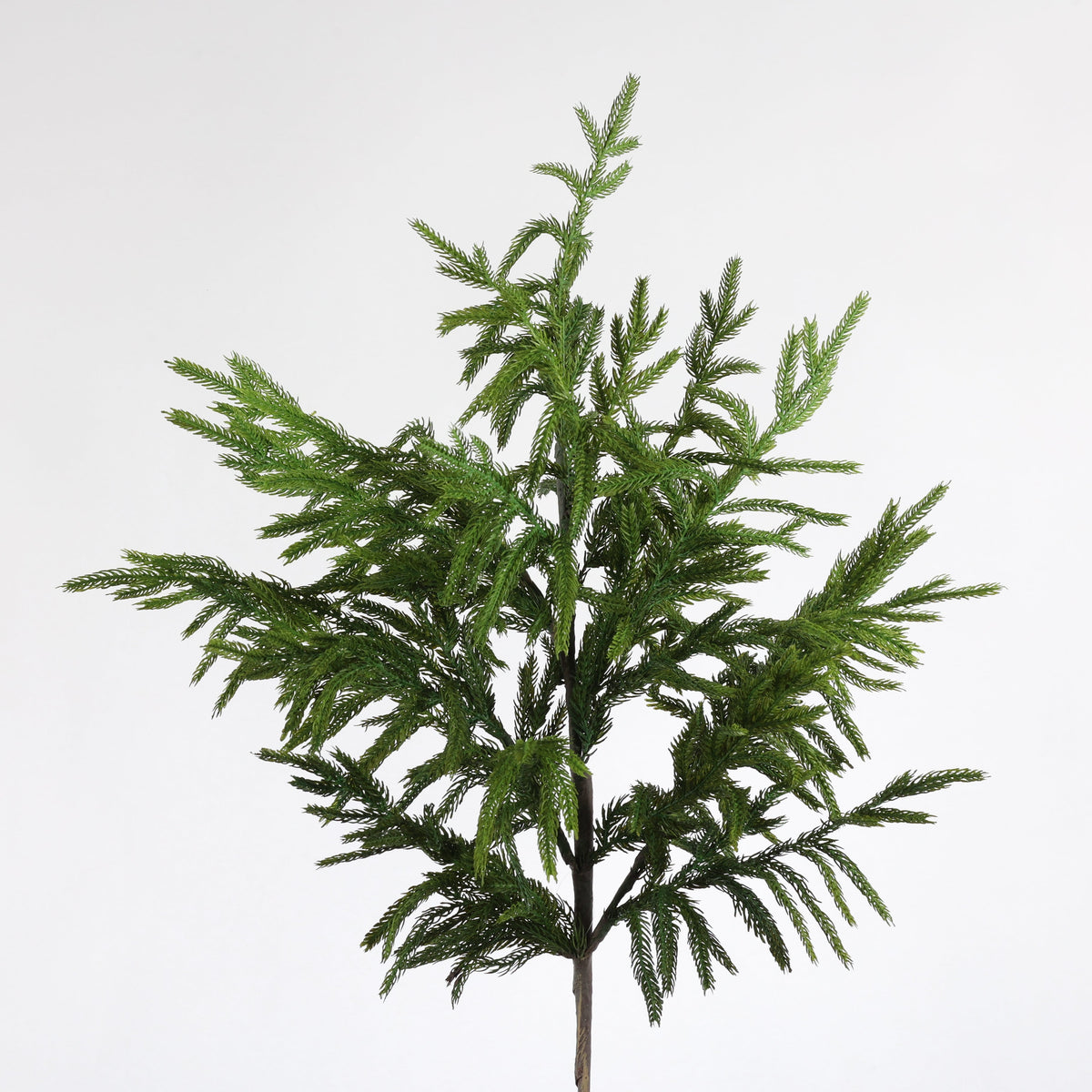 38" NORFOLK PINE SPRAY-GRN