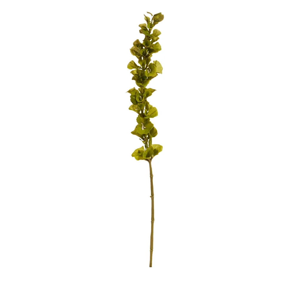 42" Bells of Ireland Stem