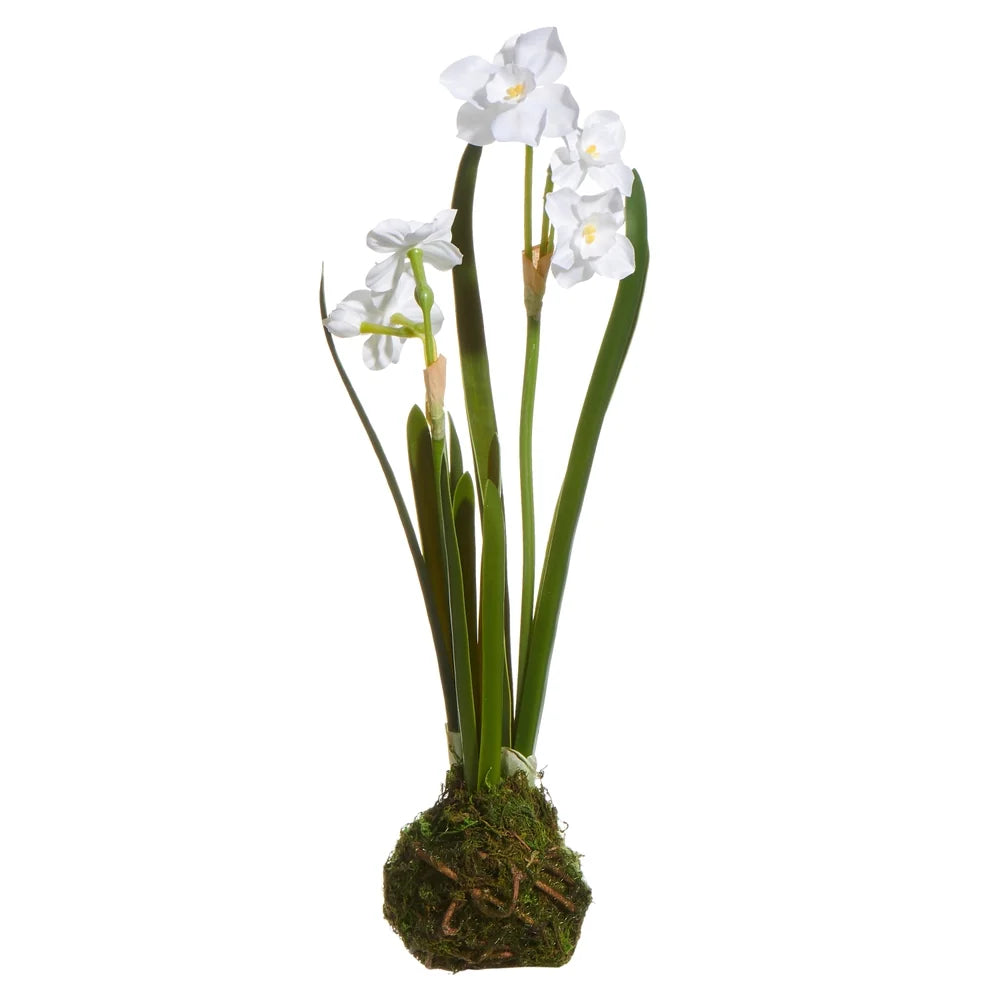 14" White Paperwhite BULB ARTIFICIAL FLOWER Drop In