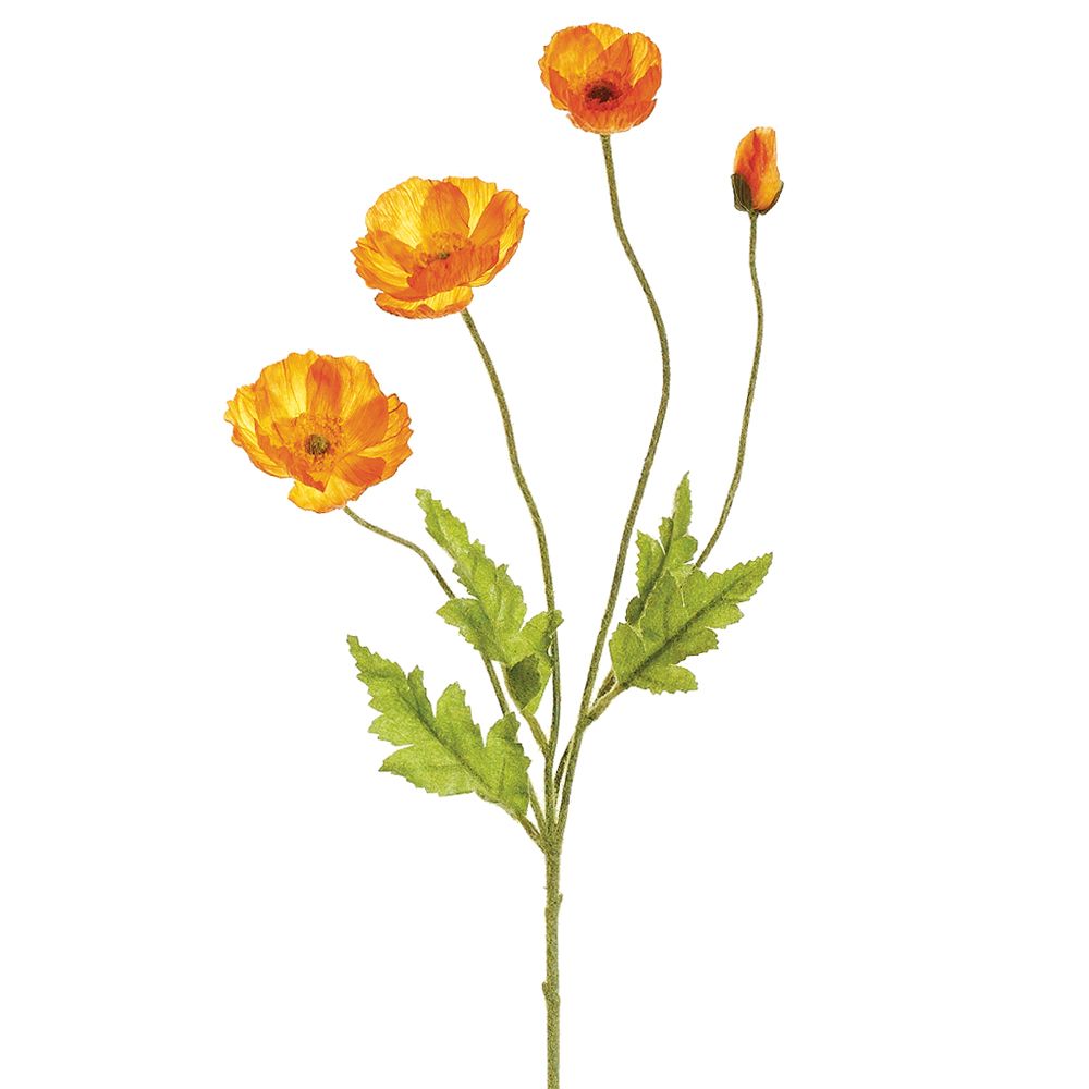 23.6"POPPY SPRAY OR