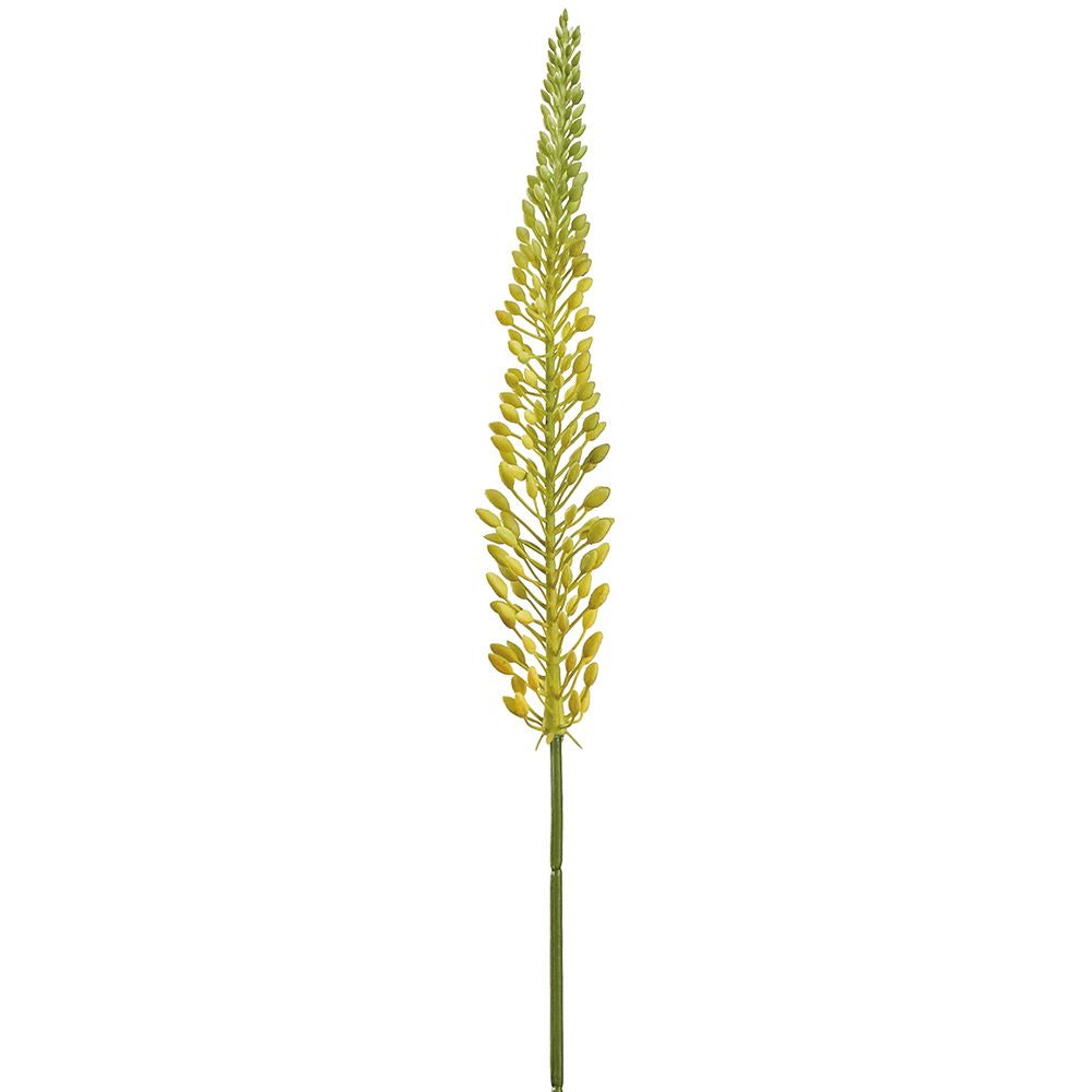 29.5"FOXTAIL LILY SPRAY YE
