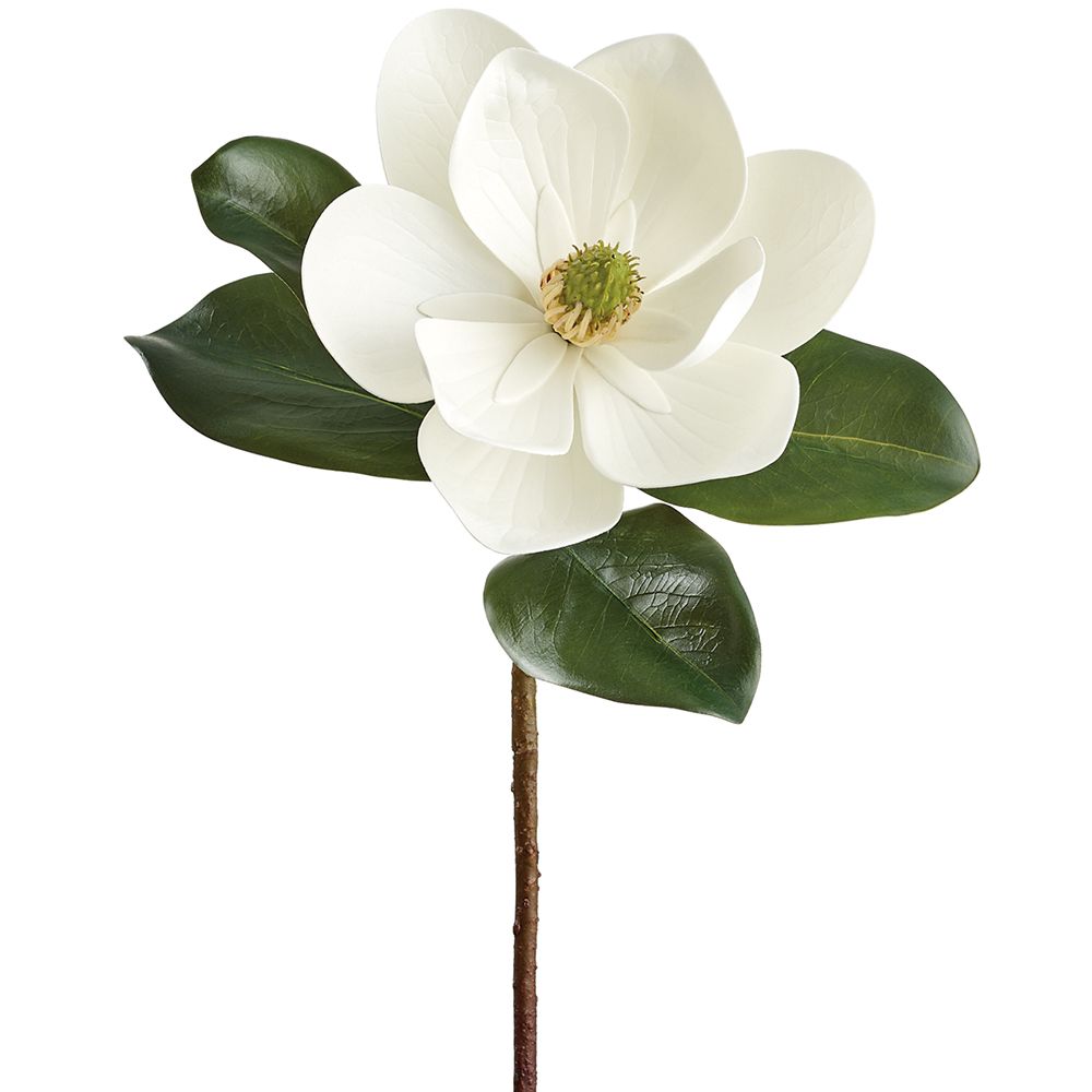 18" MAGNOLIA SPRAY WH