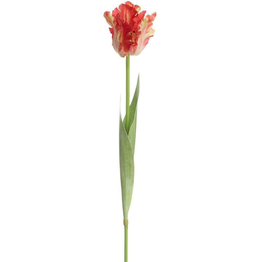 27" PARROT TULIP SPRAY RE/YE