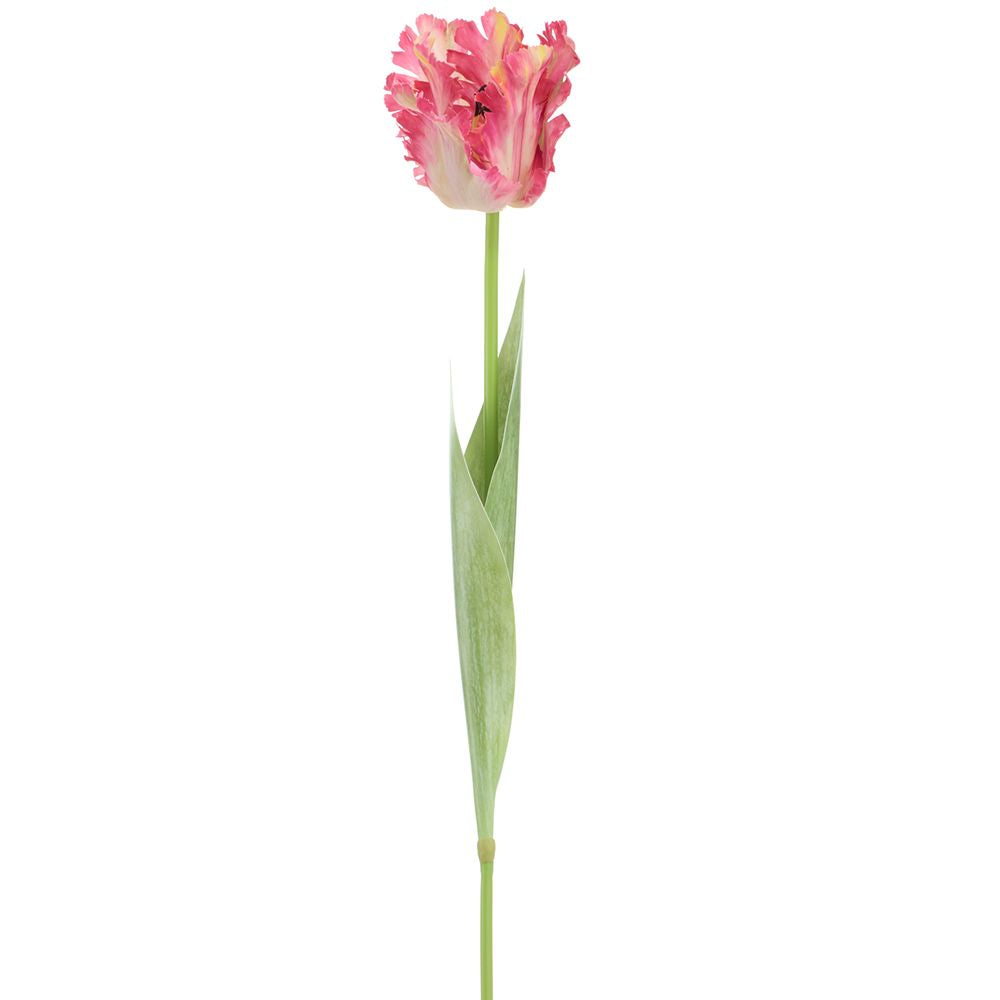 27" PARROT TULIP SPRAY BT/GR
