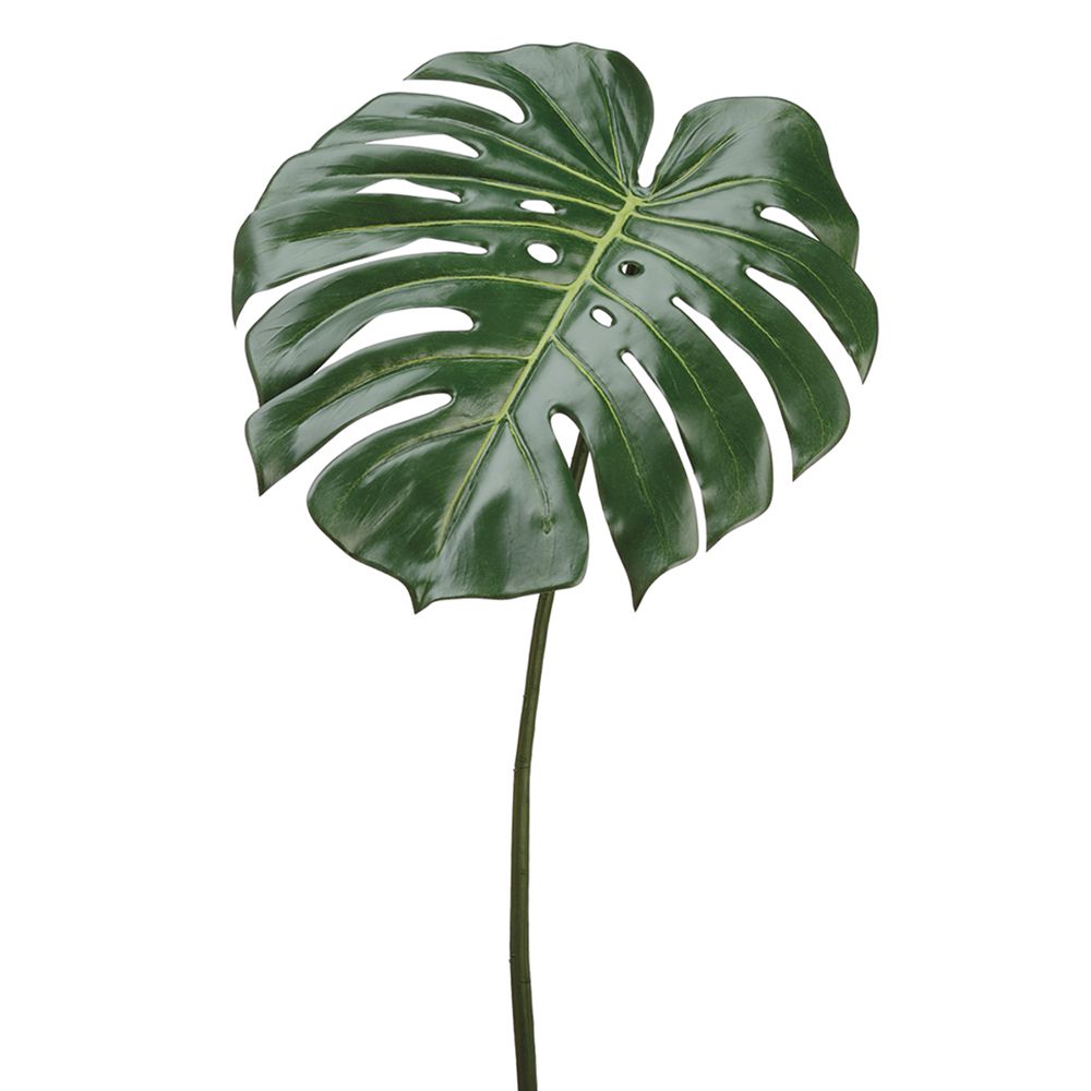 23.5" PHILODENDRON SPRAY GR
