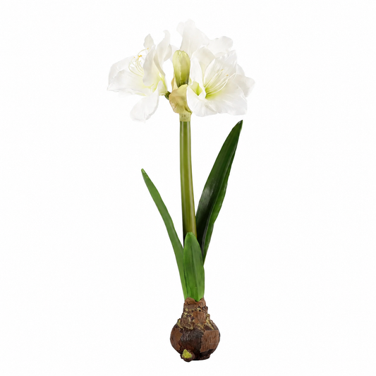 21" WHITE AMARYLLIS BULB STANDING