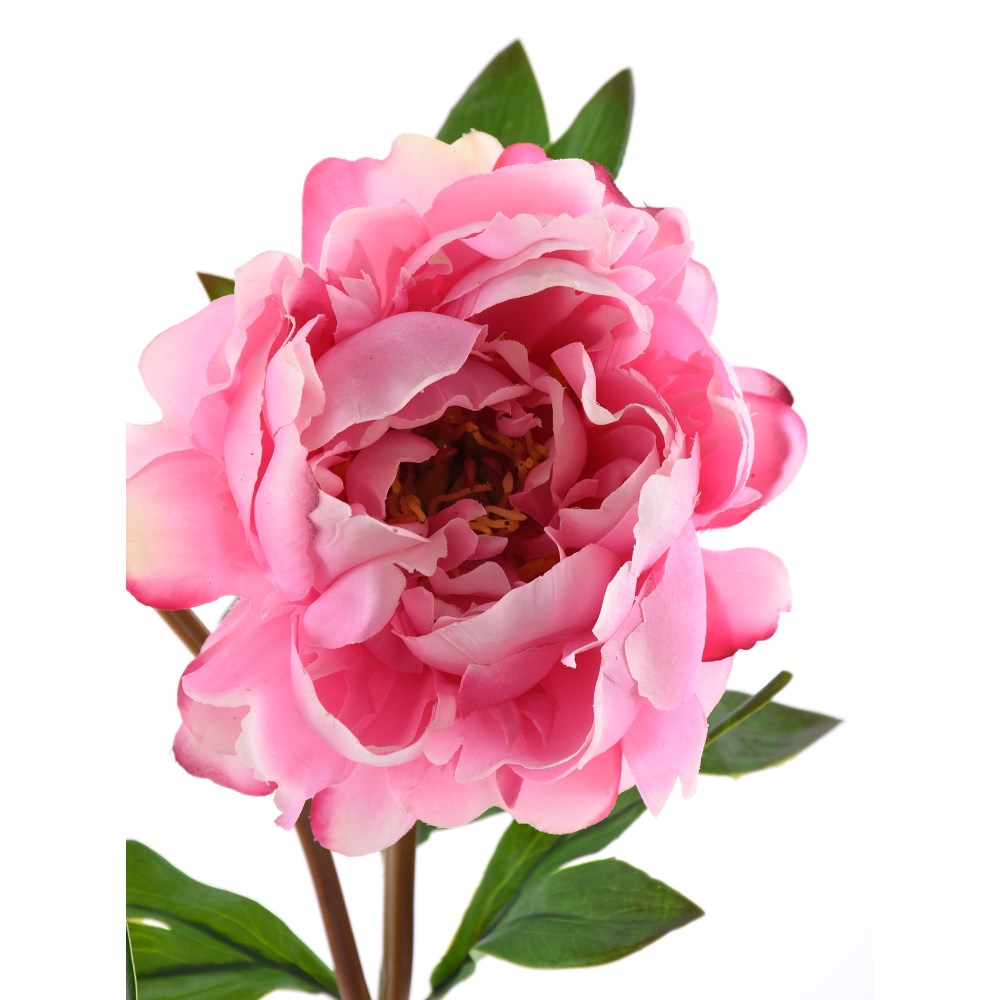 24.5" REAL TOUCH PEONY SPRAY-HOT PINK