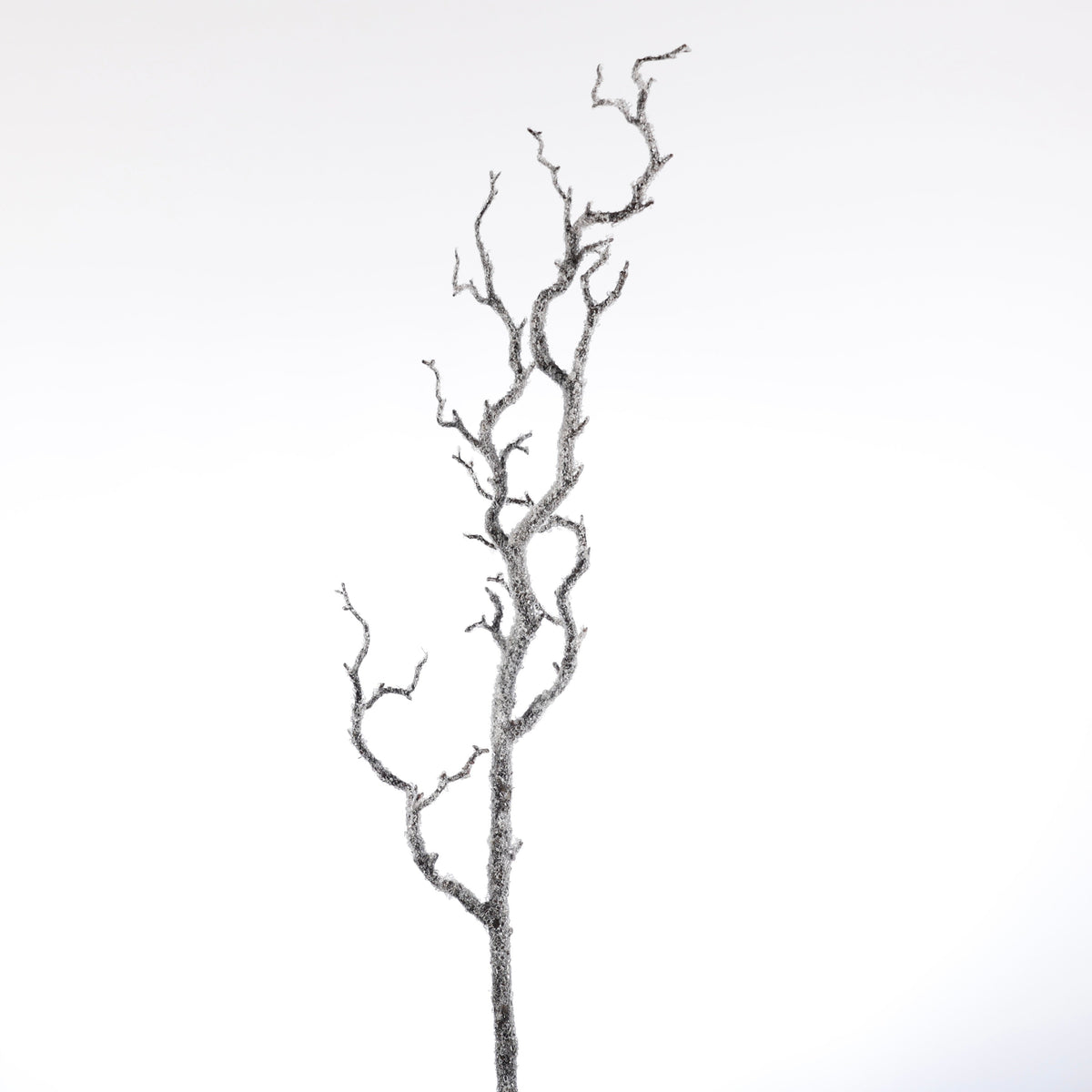 39" SNOWED BRANCH