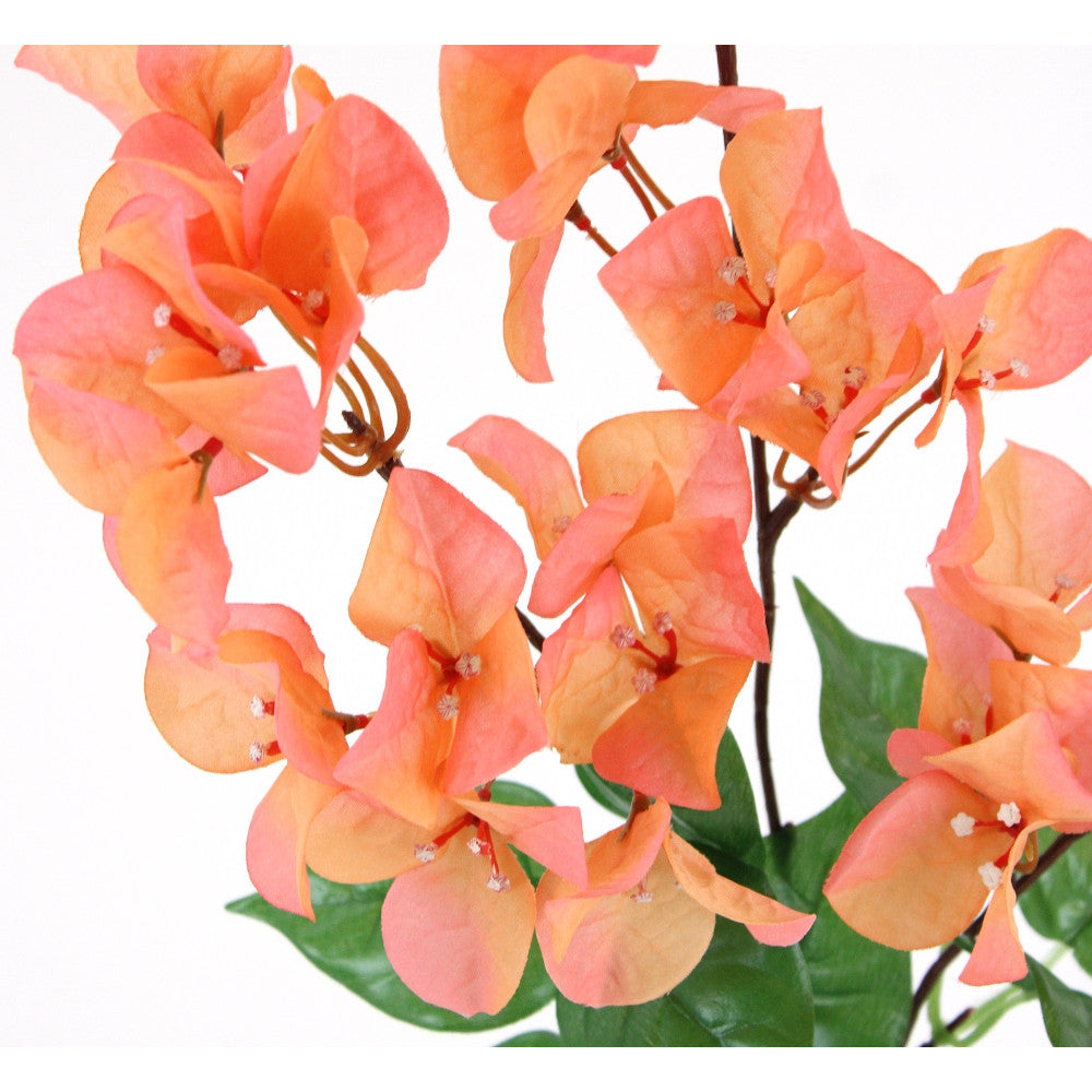 30" BOUGAINVILLEA SPRAY-CORAL