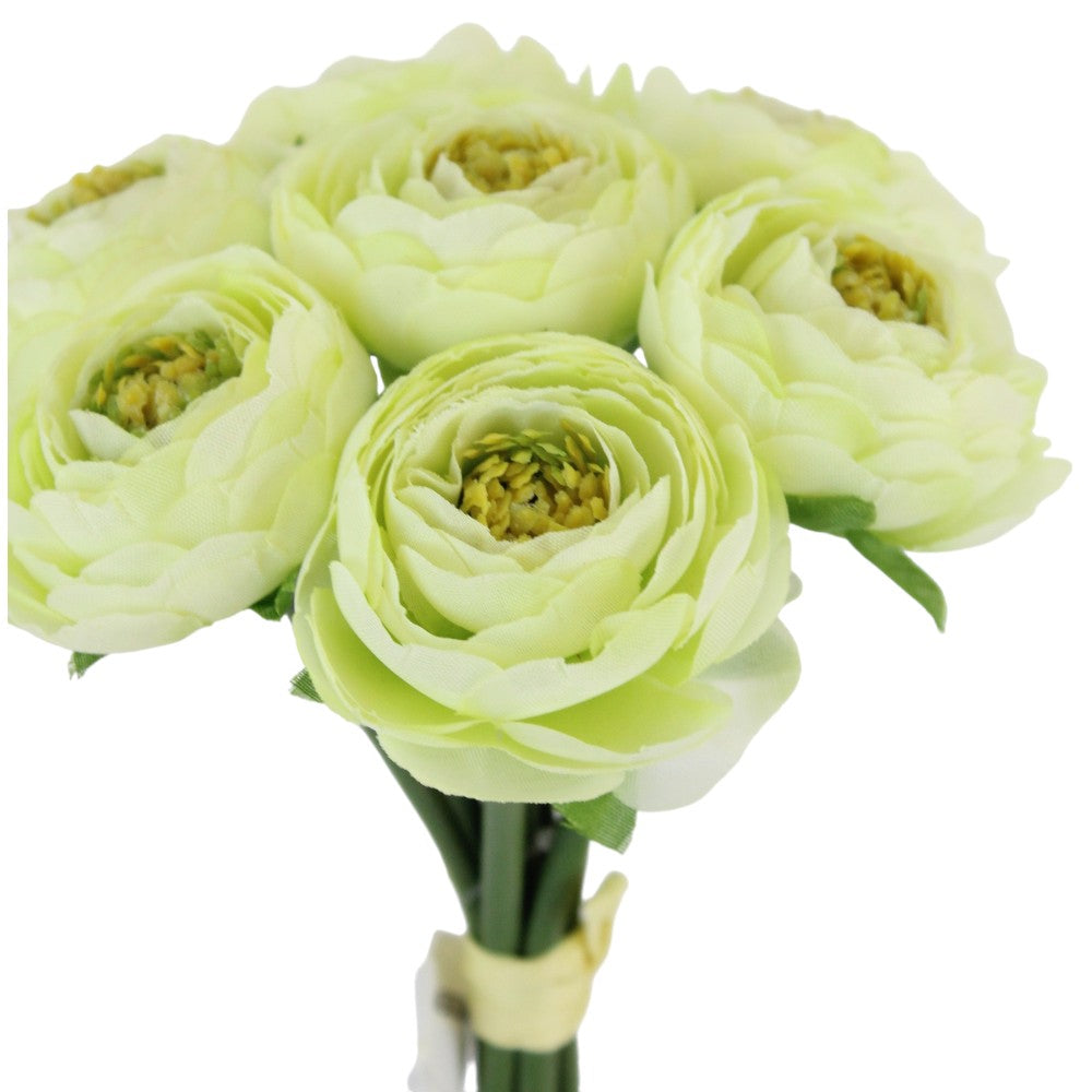 9" RANUNCULUS BUNDLE-CREAM GREEN