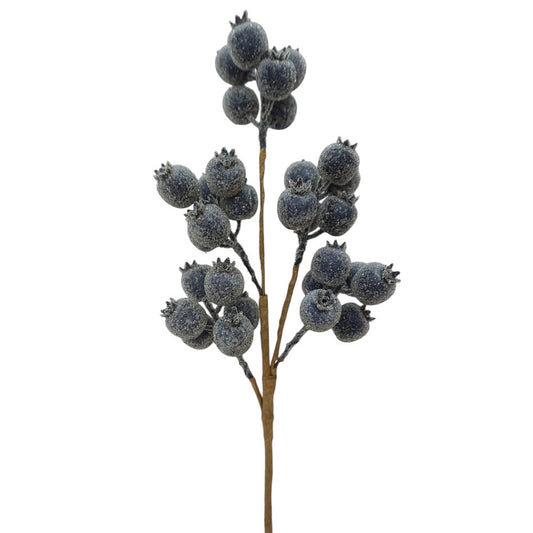 21IN Berry Spray, Blue