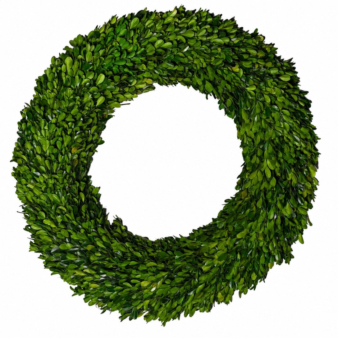 24" PRESERVED BOXWOOD WREATH