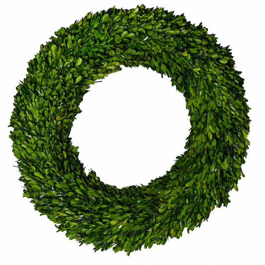 24" PRESERVED BOXWOOD WREATH