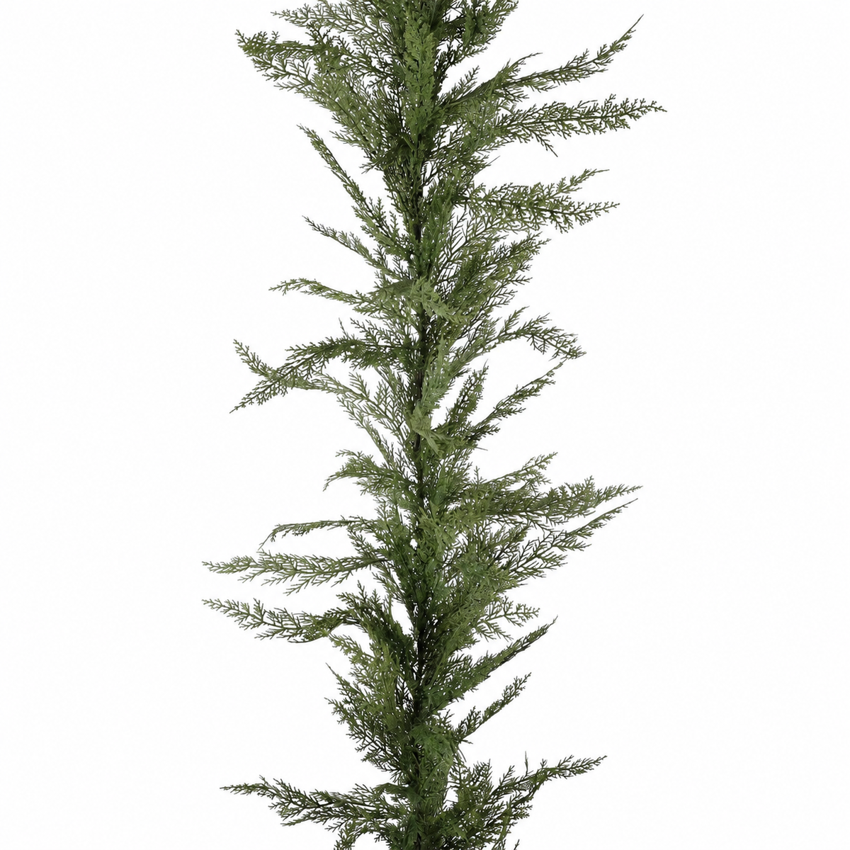 6' Real Touch Garland with Mixed Abies Grandis