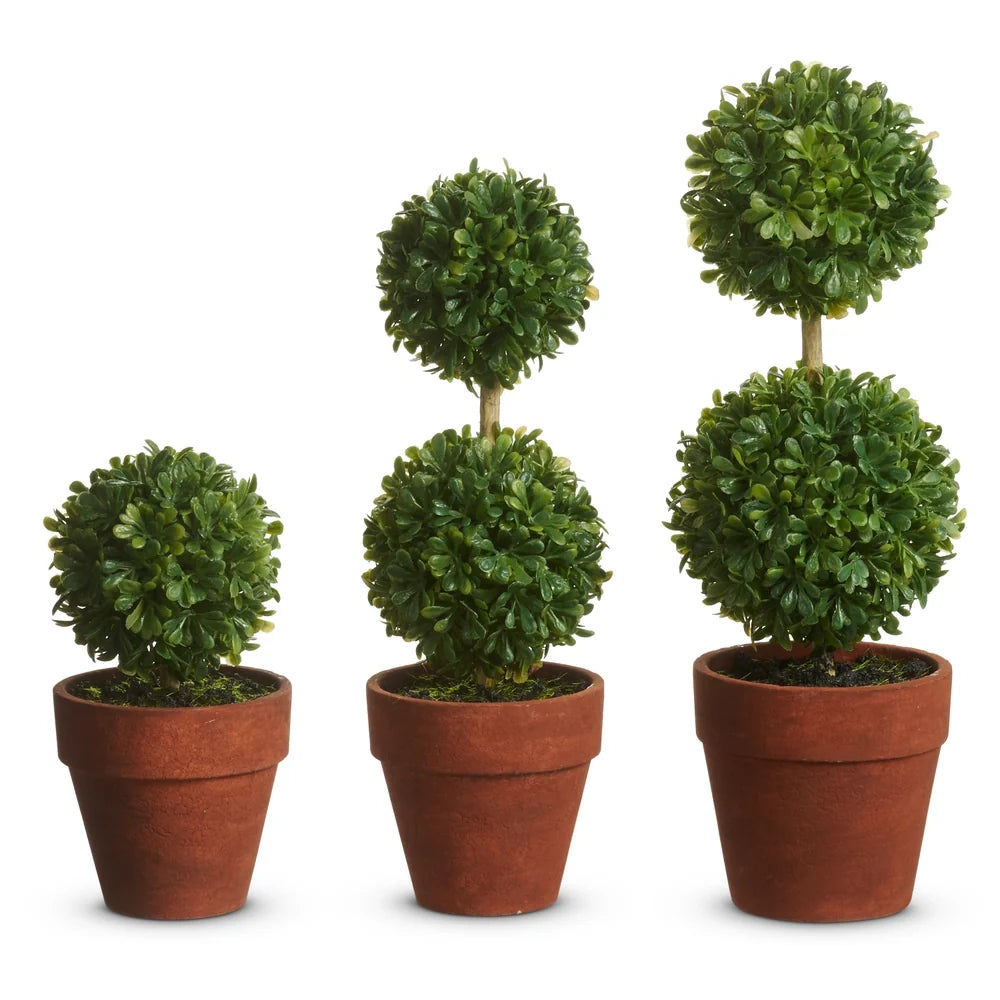 9" Potted Mini Boxwood Topiaries (LARGE ONLY)