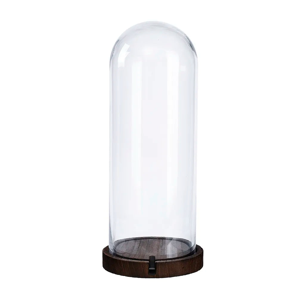 D6.5''H16'' -CLEAR GLASS DOME CLOCHE WITH WOODEN BASE