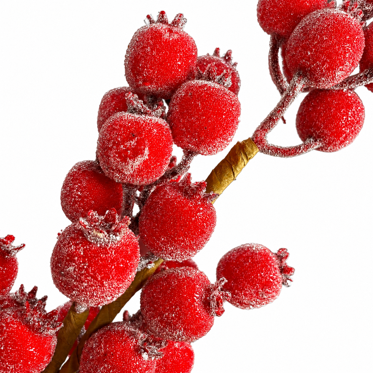 30" Sugared Berries Stem Color Red