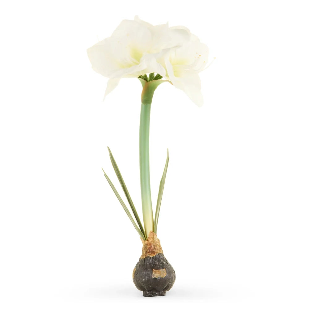 19" Real Touch White Amaryllis Bulb