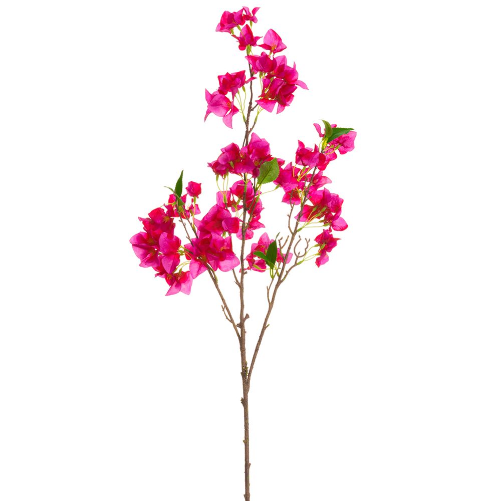 41.5"BOUGAINVILLEA BRANCH OC
