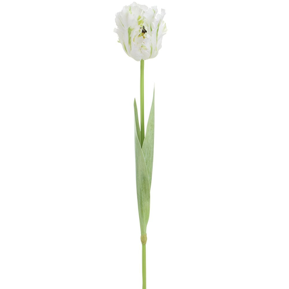 27" PARROT TULIP SPRAY WH/GR