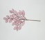 25" PINK ELIAGNUS SPRAY