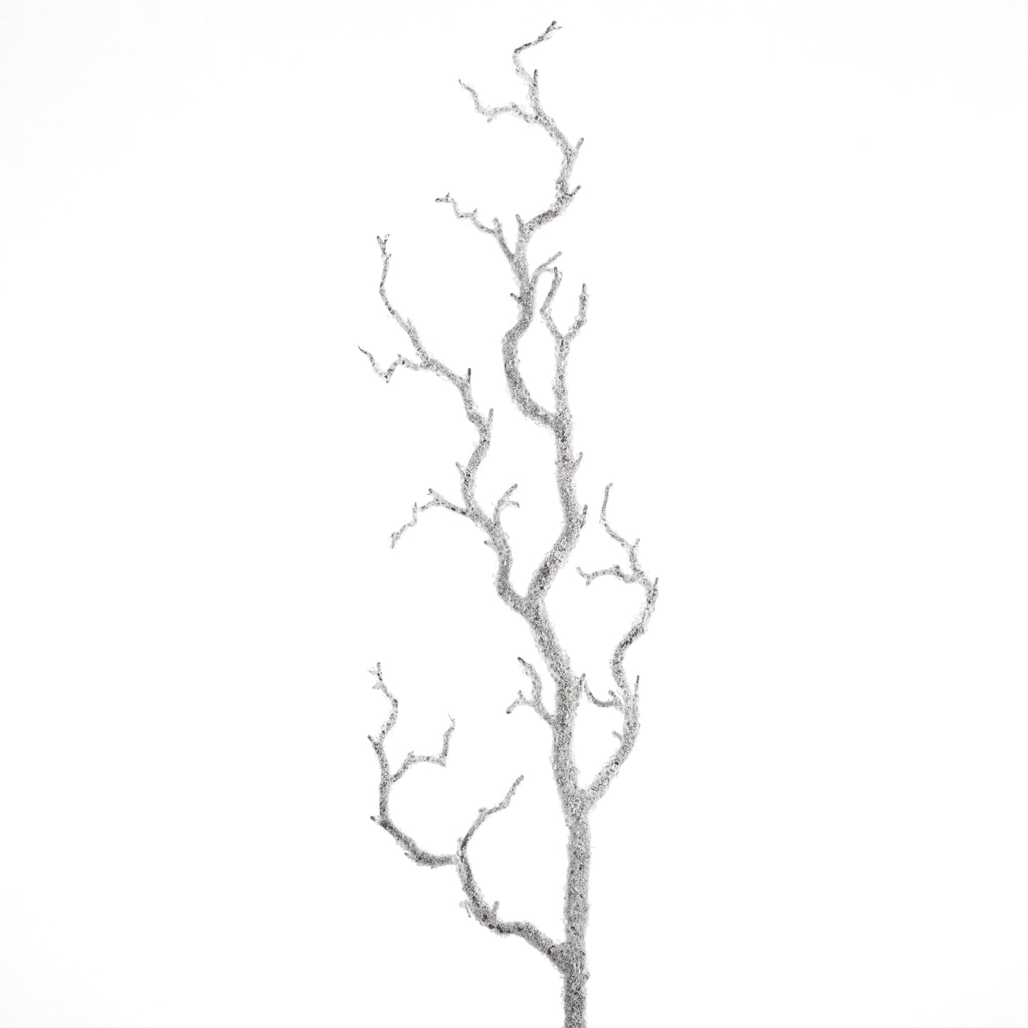 39" SNOWED BRANCH